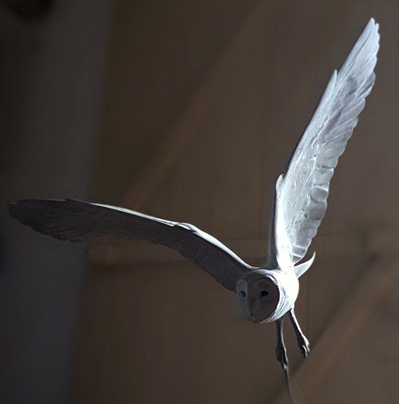 OWL OVER THE MOON… this ghostly spirit hovers above the moon …