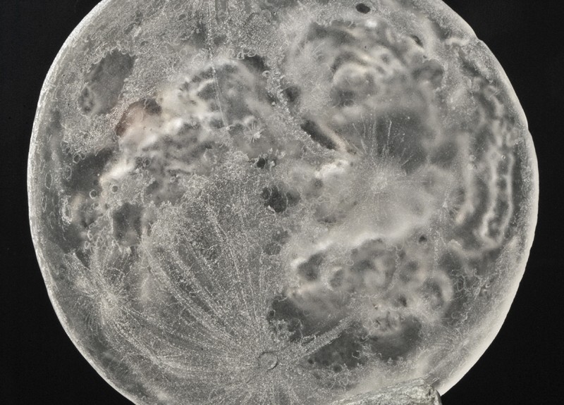 GATHERING STICKS ON SUNDAY - Reverse detail