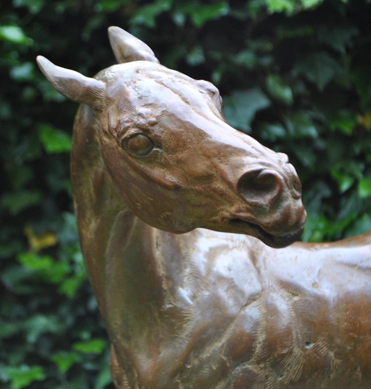 A racehorse is standing being washed down on a cold October morning. The cold water comes as a shock!