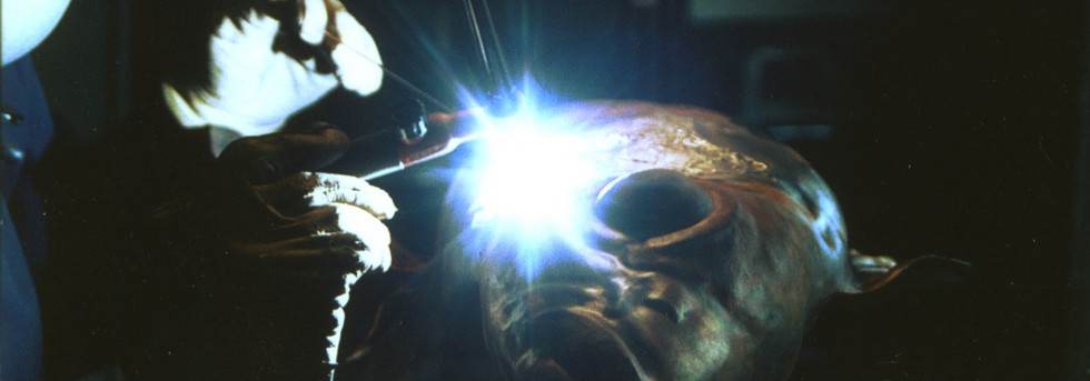 Sioban Coppinger slider image 2