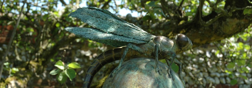 Sioban Coppinger slider image 5