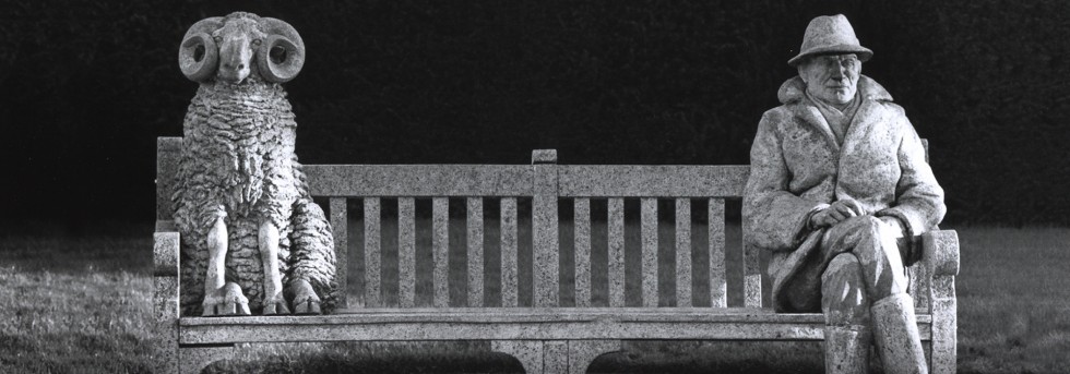 Sioban Coppinger slider image 7