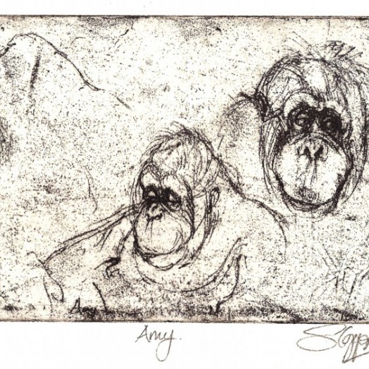 ... Amy ... (Click to enlarge)