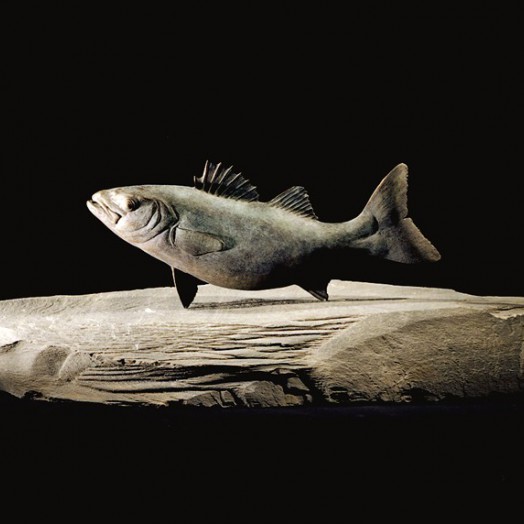 Photo by Richard Greenly  (Click to enlarge)