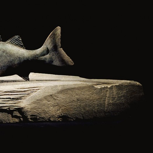 Photo by Richard Greenly  (Click to enlarge)