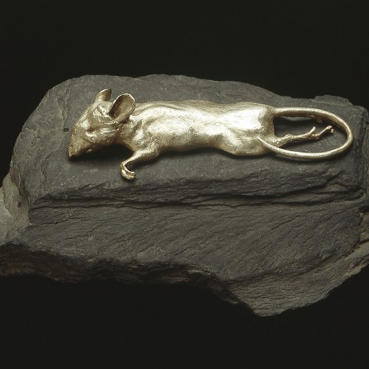 Photo by Richard Greenly  (Click to enlarge)