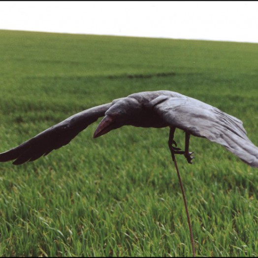 ... the rook raider �flies� with articulated wings ...          (Click to enlarge)