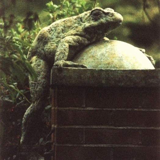 ...nearly five times life size ...  (Click to enlarge)