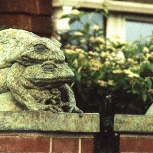 ... of a long and happy marriage ...  (Click to enlarge)