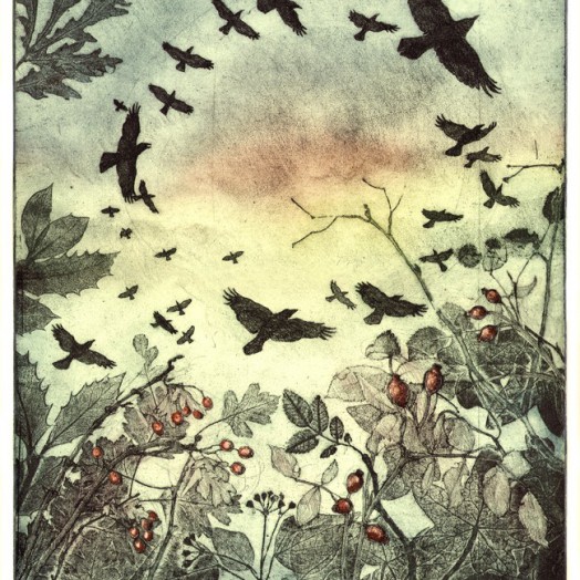 ... rampaging rooks ...  (Click to enlarge)