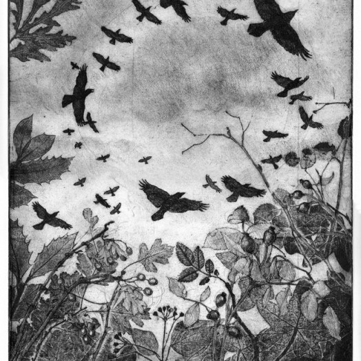 ... rampaging rooks ...  (Click to enlarge)