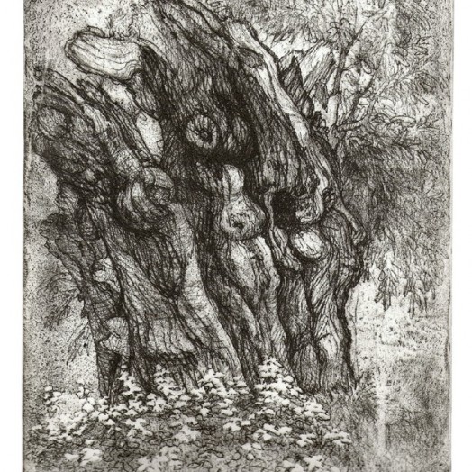 ... a study of an old friend who lived by the river ... (Click to enlarge)