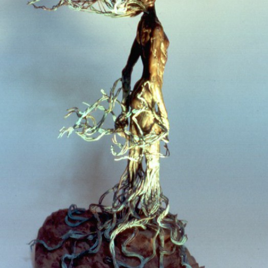 Photo by Malcolm Vaughan (Click to enlarge)