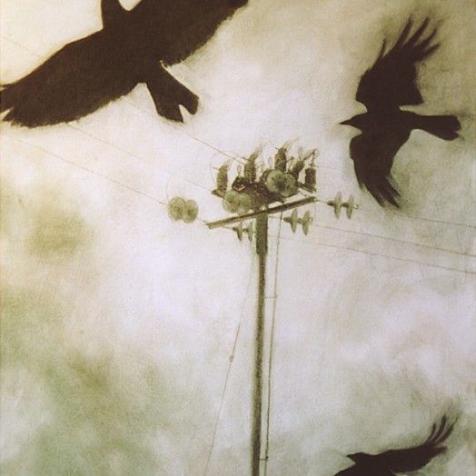 ... the rooks are so mysterious ... (Click to enlarge)