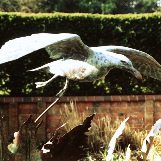 ... a water feature with fern fronds from the Downs �      (Click to enlarge)