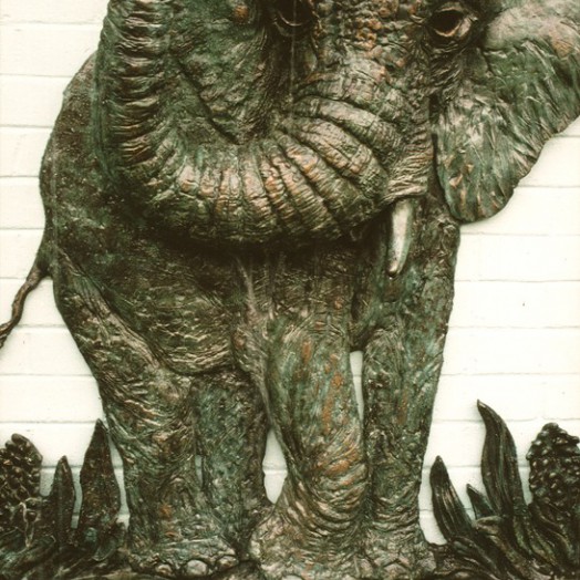 ... emerging from a storybook rainforest ...                     (Click to enlarge)