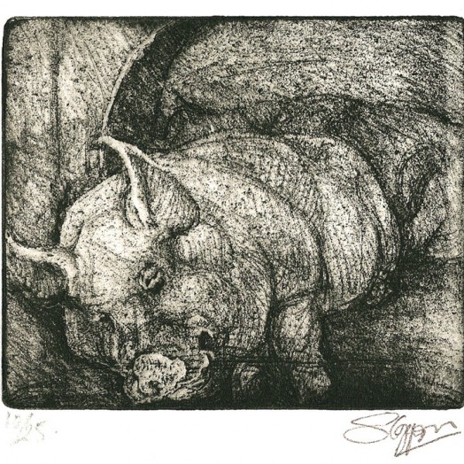 ... this boar had a hareem to make any man envious ... (Click to enlarge)