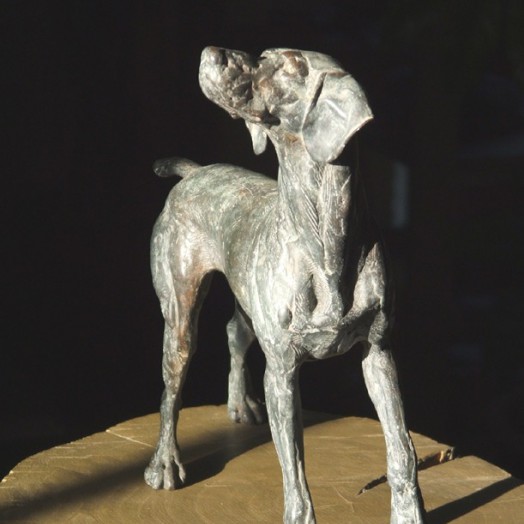 � an old friend �  (Click to enlarge)