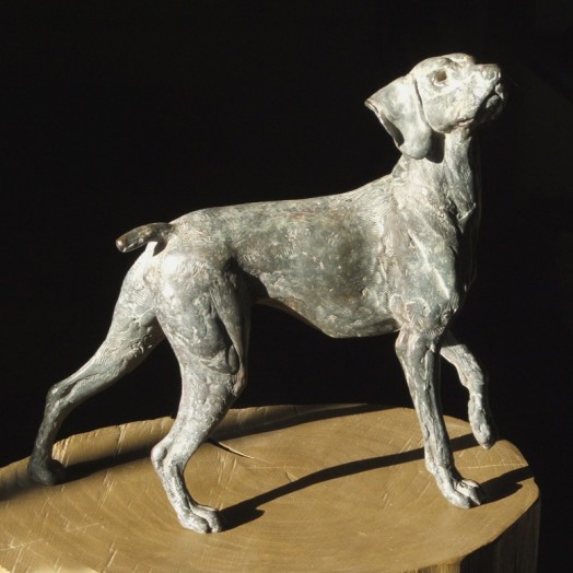 � an old friend �  (Click to enlarge)