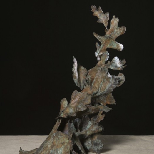 ... when the wind blows - it can leave you in a spin �      (Click to enlarge)