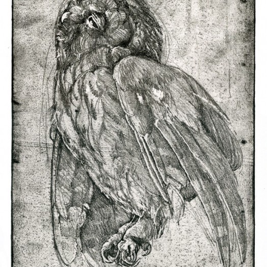 ... mother would have warned him not to be out so late �  (Click to enlarge)