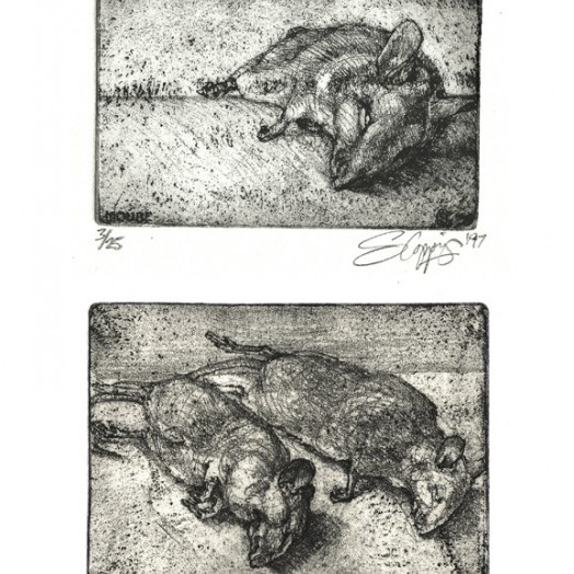 THREE BLIND MICE ... gifts from the cats ...  (Click to enlarge)