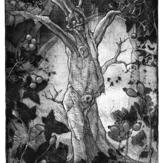 ...  a lark in the naked wet woods  �  (Click to enlarge)