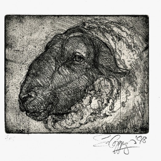 ... one of the Mile End boys ...  (Click to enlarge)