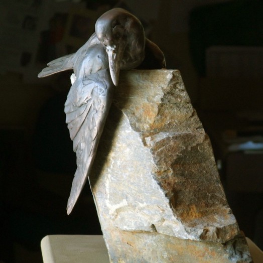 � an arresting point of view �  (Click to enlarge)