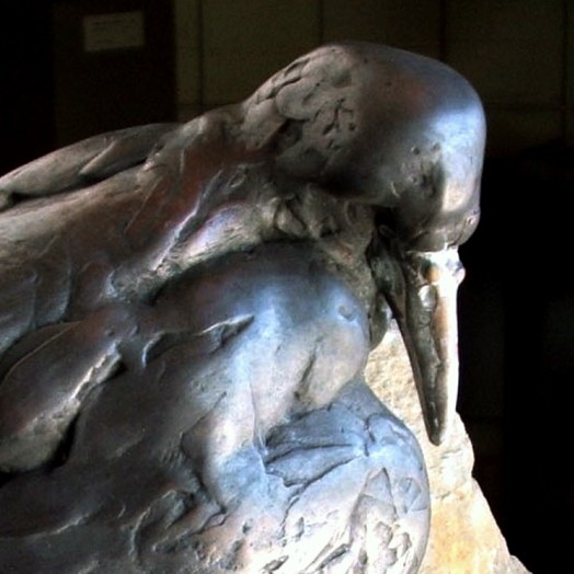 � an arresting point of view �  (Click to enlarge)