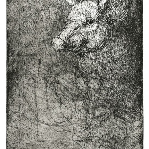 … a pig with attitude … (Click to enlarge)