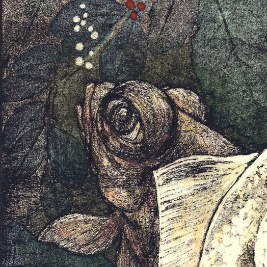 ... good friends who swim closely together ... Hand tinted        (Click to enlarge)