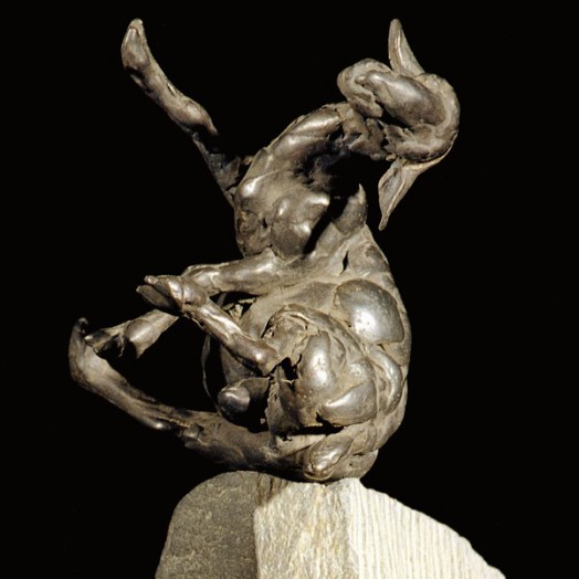 ... a sheep on the edge? ...  photo by Richard Greenly            (Click to enlarge)