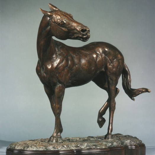 Photo by Pru Cumming  (Click to enlarge)