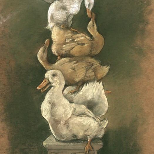 ... a gaggle of ducks ...  (Click to enlarge)