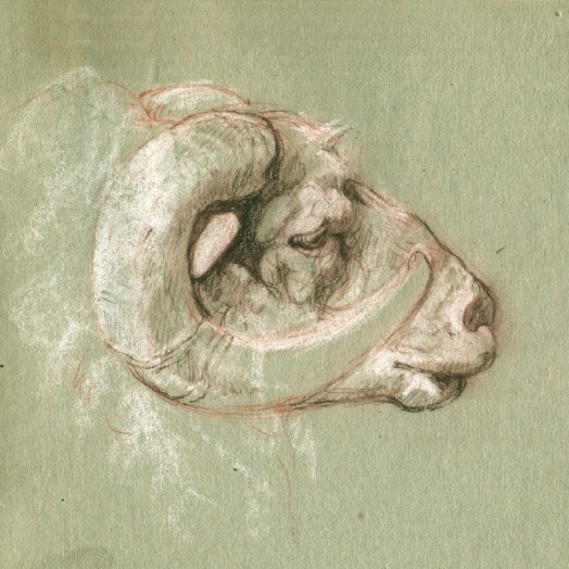 a pet ram called Charlie
(Click to enlarge)