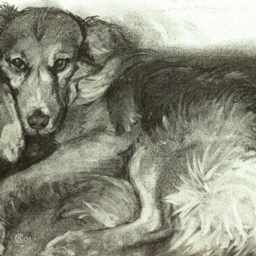 � a foxy little dog ... (Click to enlarge)