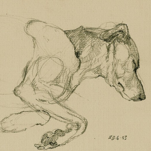 ... tinker dream ...  (Click to enlarge)