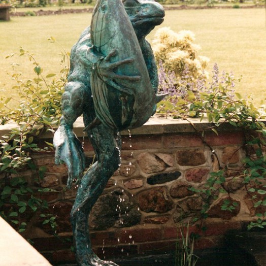 ... frogs have been found �hugging� all kinds of creatures � including fish �  (Click to enlarge)