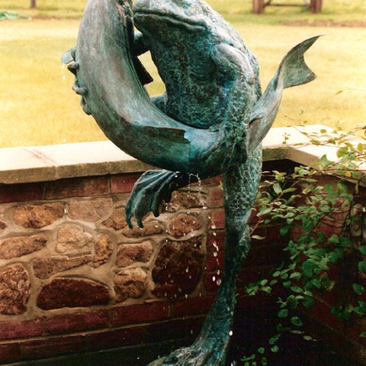 ... frogs have been found �hugging� all kinds of creatures � including fish �  (Click to enlarge)