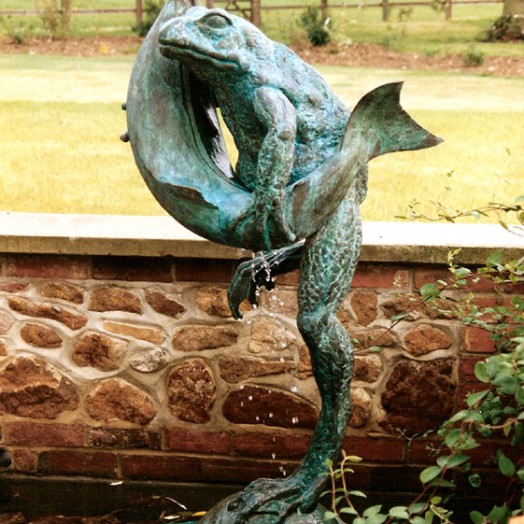 ... frogs have been found �hugging� all kinds of creatures � including fish �  (Click to enlarge)