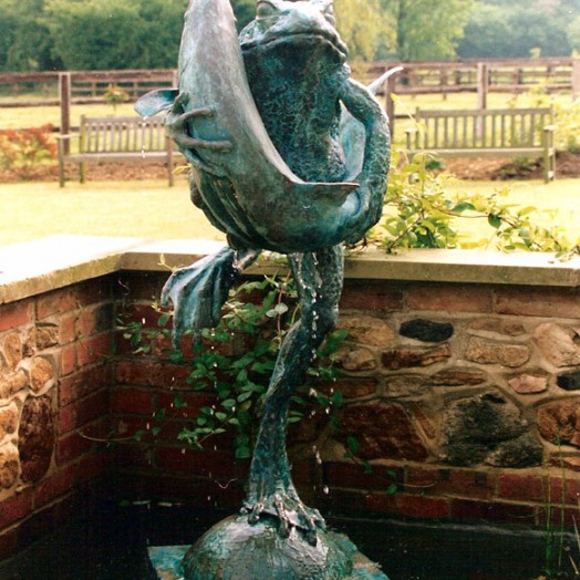 ... frogs have been found �hugging� all kinds of creatures � including fish �  (Click to enlarge)