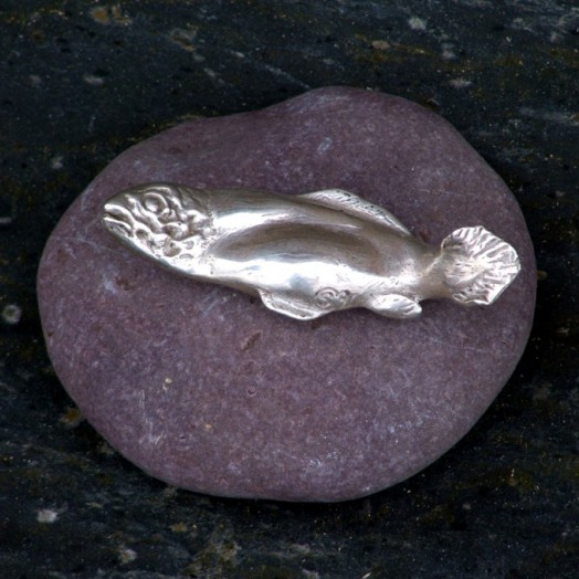 � a silvery salmon all slippery and shiny �                       (Click to enlarge)