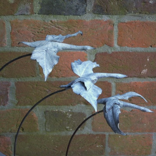 SWANS LEAVE (IV III V) 