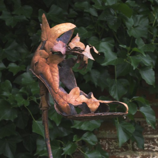 IVY JIVE - SHOE LEAVES V