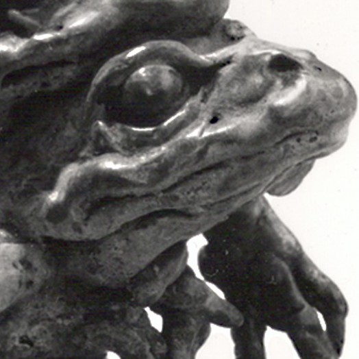 Photo by Llewellyn Robins (Click to enlarge)