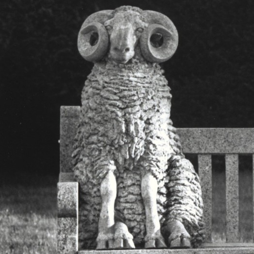 All works by Sioban Coppinger