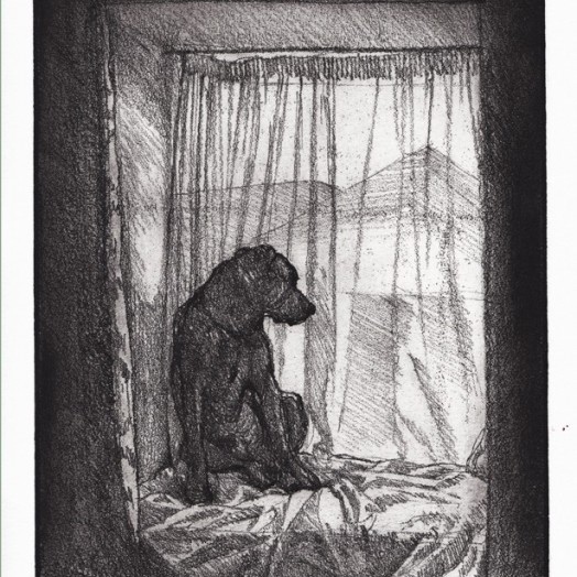 Etching by Sioban Coppinger